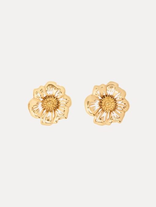 Modaknit.shopb41224863d 1